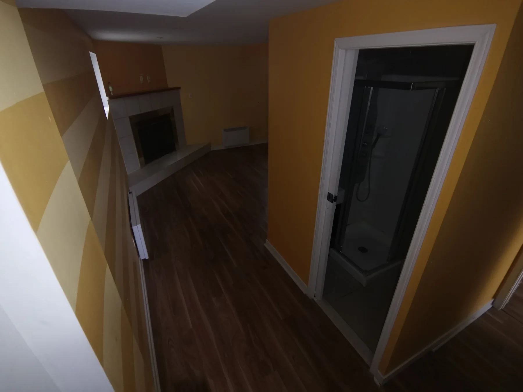 Basement before, from the stairs: family room with the old shower room at right